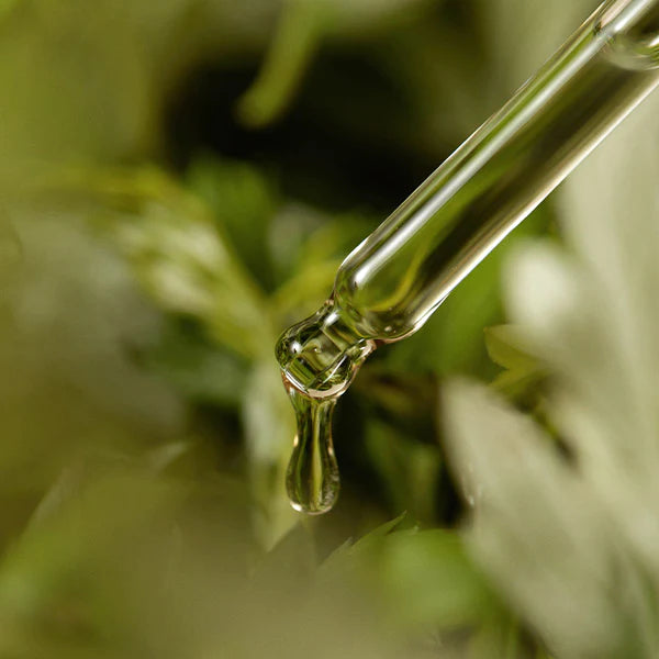 I' m From Mugwort Serum 30Ml