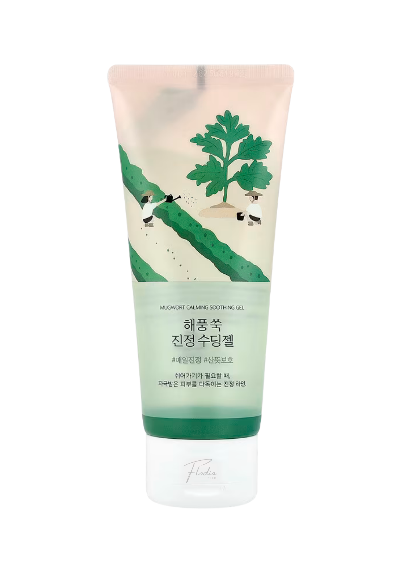 Round Lab Mugwort Calming Soothing Gel 150Ml