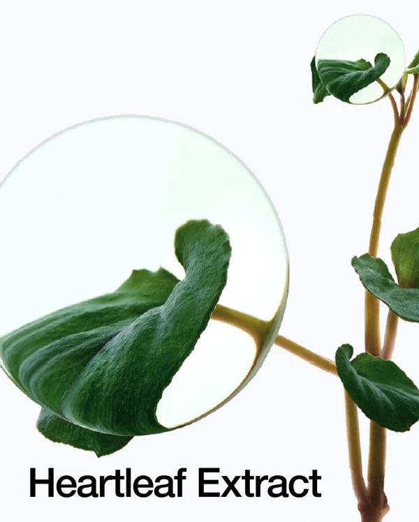 Anua Heartleaf Pore Control Cleansing Oil 200Ml Original Mild 